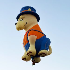 Hot Air Balloons 001