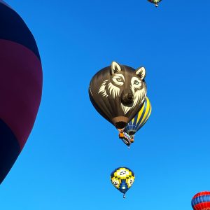 Hot Air Balloons 003