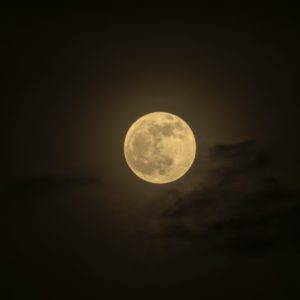 Moon Shots