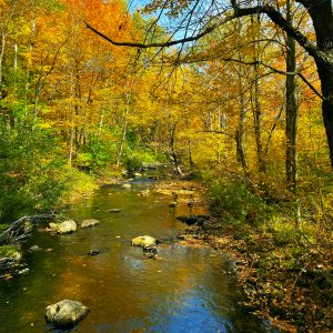 White Mountains 036