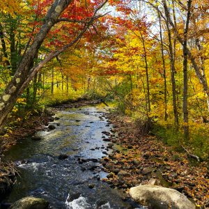 White Mountains 035