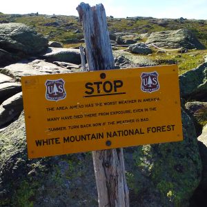 White Mountains 092