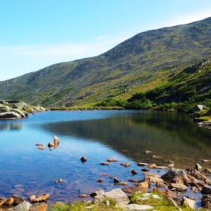 White Mountains 091