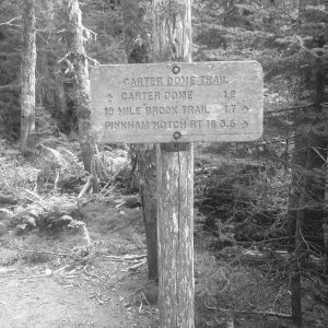 White Mountains 082