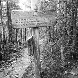White Mountains 081