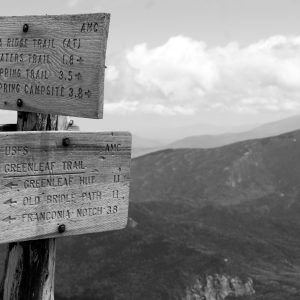 White Mountains 074