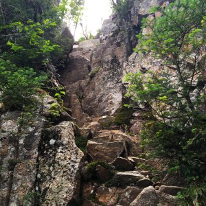 White Mountains 067