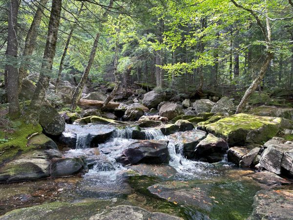 Waterfalls 024
