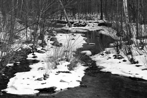 NH Winter 001
