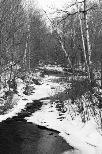 NH Winter 002