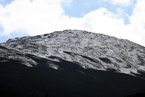 NH Winter 004