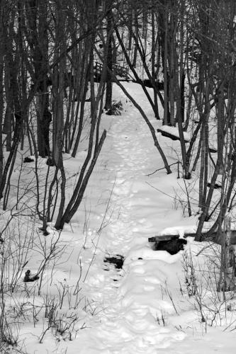 NH Winter 013