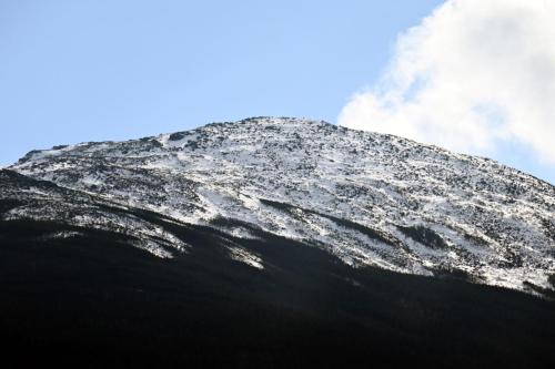 NH Winter 015