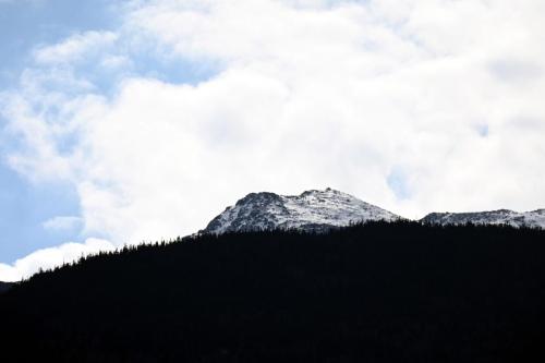 NH Winter 016