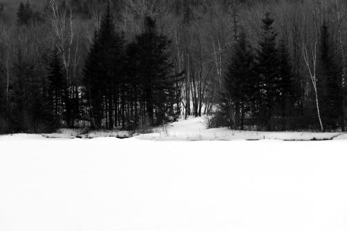 NH Winter 018