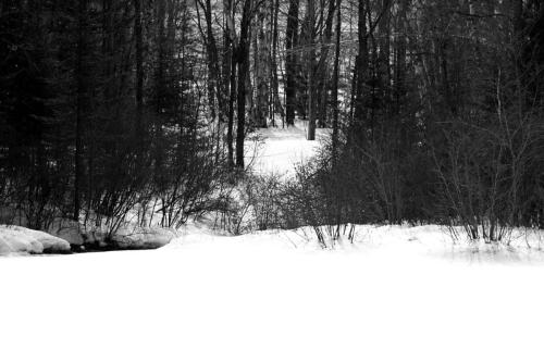 NH Winter 022
