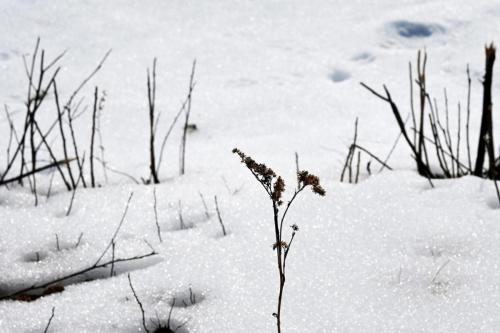 NH Winter 026
