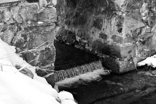 NH Winter 031