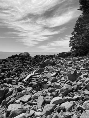Ocean 036