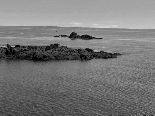 Ocean 041