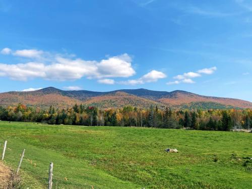 White Mountains 001