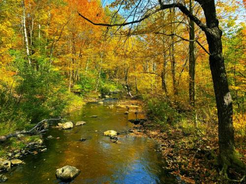 White Mountains 003