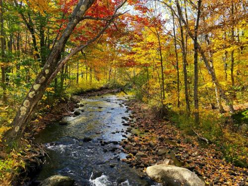 White Mountains 004