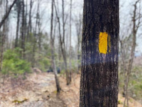 White Mountains 011