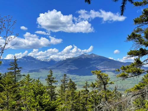 White Mountains 014