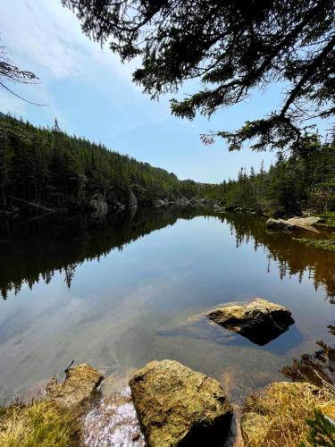 White Mountains 019