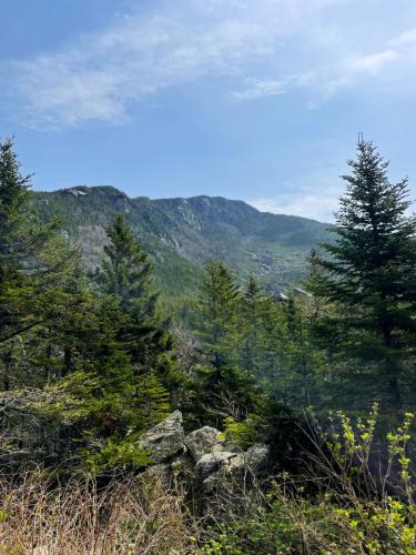 White Mountains 020