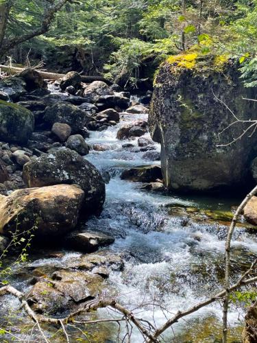 White Mountains 021