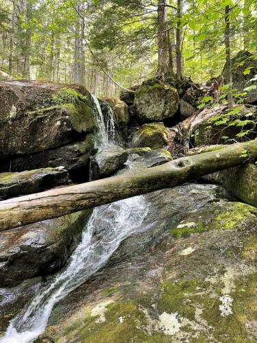 White Mountains 022