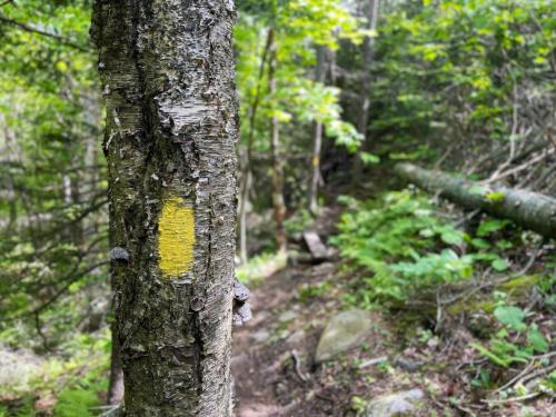 White Mountains 023