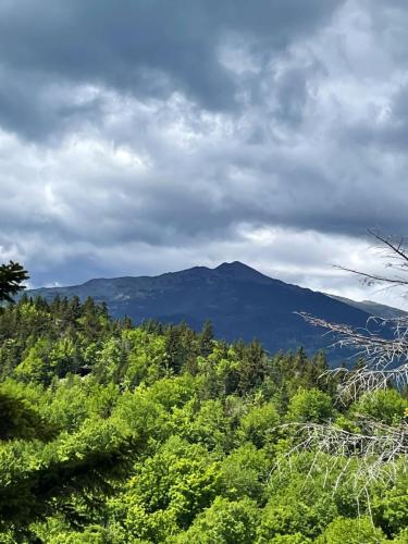 White Mountains 025