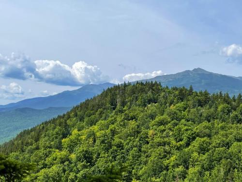 White Mountains 036