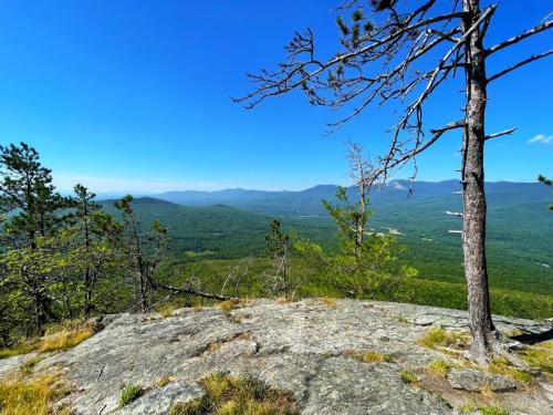 White Mountains 038