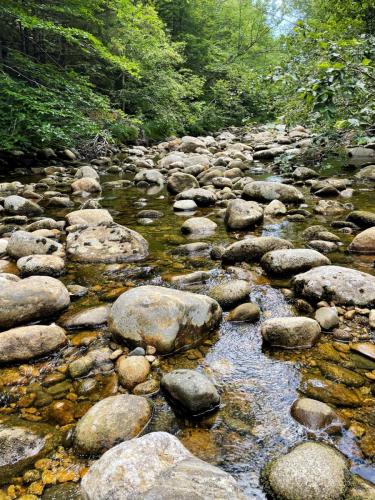 White Mountains 040
