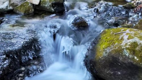 White Mountains 070