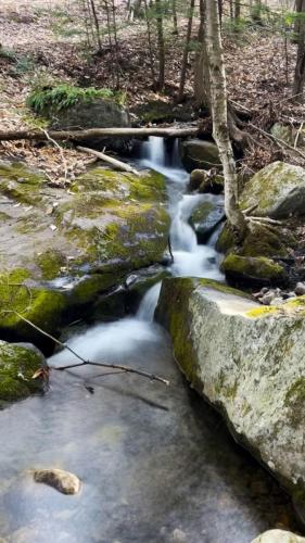 White Mountains 082