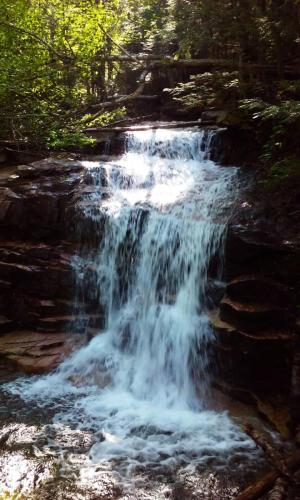 White Mountains 110