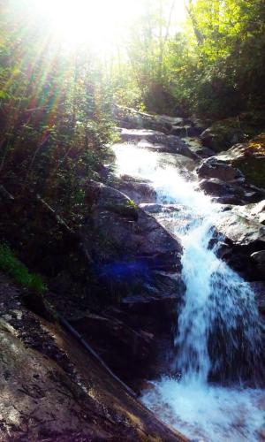 White Mountains 111