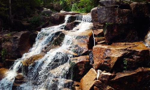 White Mountains 125
