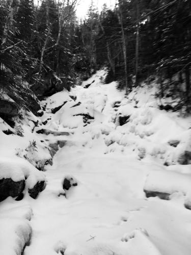 White Mountains 237